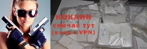 дживик Лагань