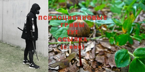 экстази Ладушкин