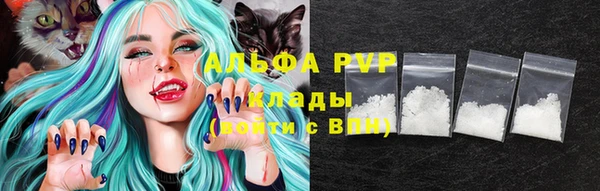 прущие грибы Липки