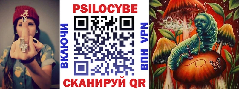 Купить  Инсар  Галлюциногенные грибы Psilocybe 